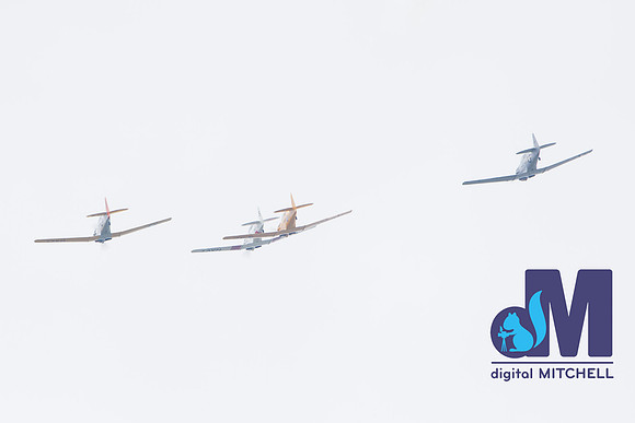 WarBirds2013-1929