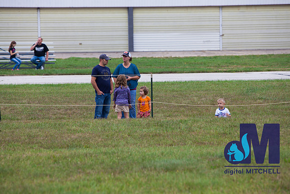 WarBirds2013-1604