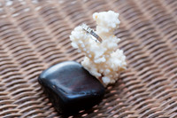 CL_Wedding-536