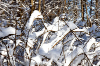 88-Cobus Creek Winter 2-18-22