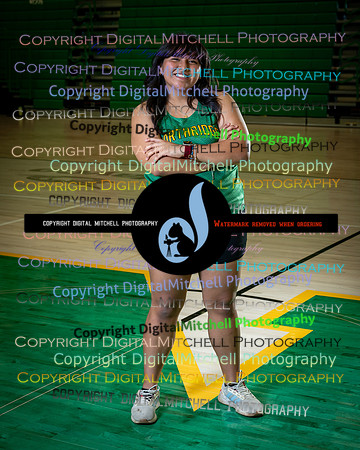 442-NHS 2025 Track and Softball