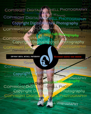 405-NHS 2025 Track and Softball