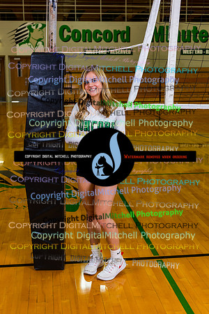 85-Volleyball 2020