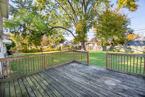 126-3006 Birch-HDR