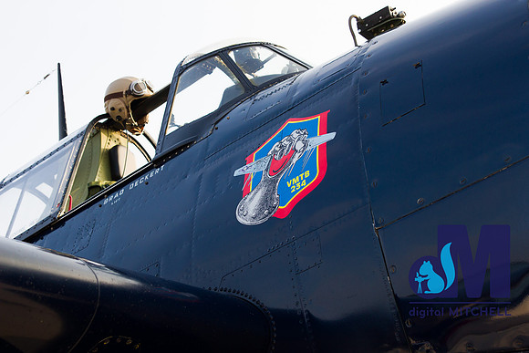 WarBirds2013-2869