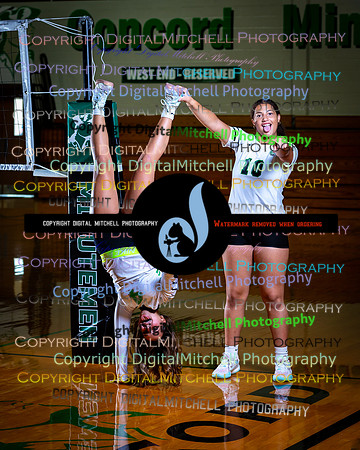 76-CHS 2024 Vollyball