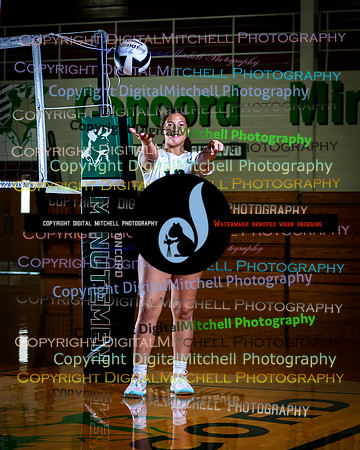 77-CHS 2024 Vollyball