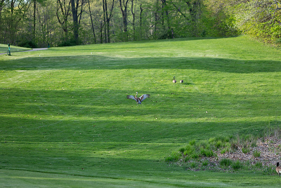 235-Hunter Golf Match