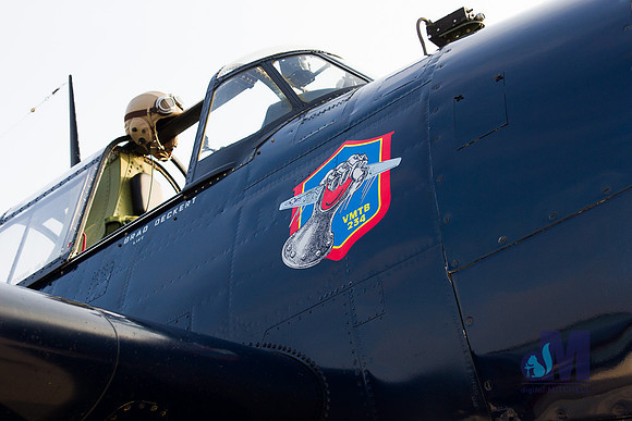 WarBirds2013-2869