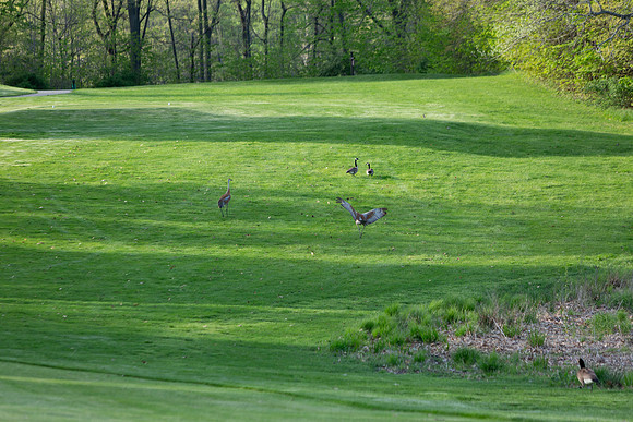 238-Hunter Golf Match