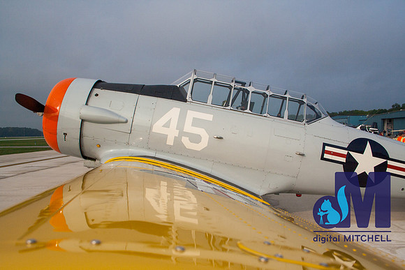 WarBirds2013-2472