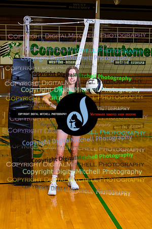 23-Volleyball 2020