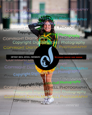 81-NHS 2025 Fall Cheer