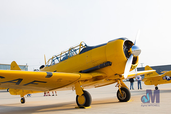 WarBirds2013-2872