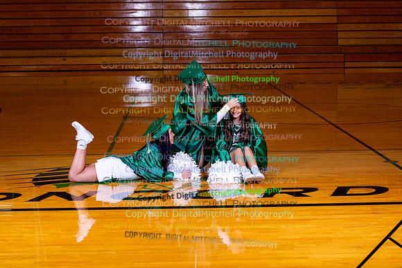 264-2024 Winter Cheer