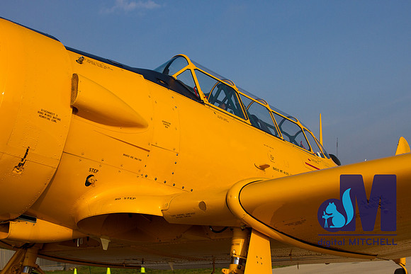 WarBirds2013-2873
