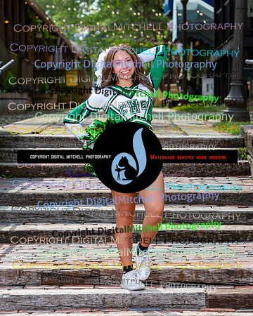 72-2024 Fall Cheer