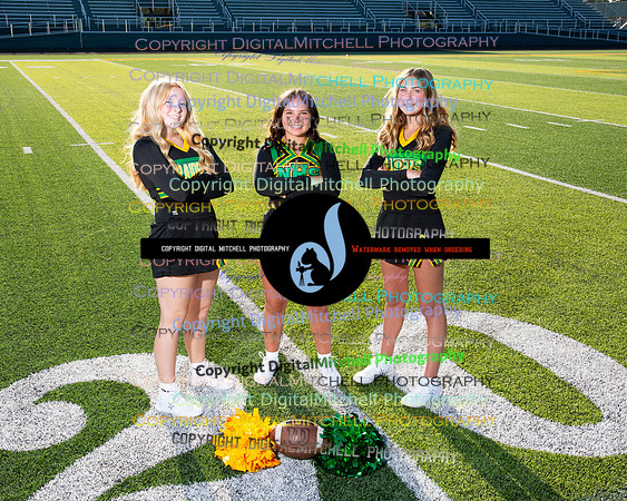 273-NHS 2024 Fall