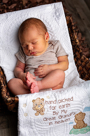106-Baby Wesley
