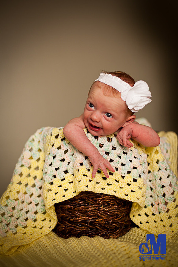 newborn baby in a basket