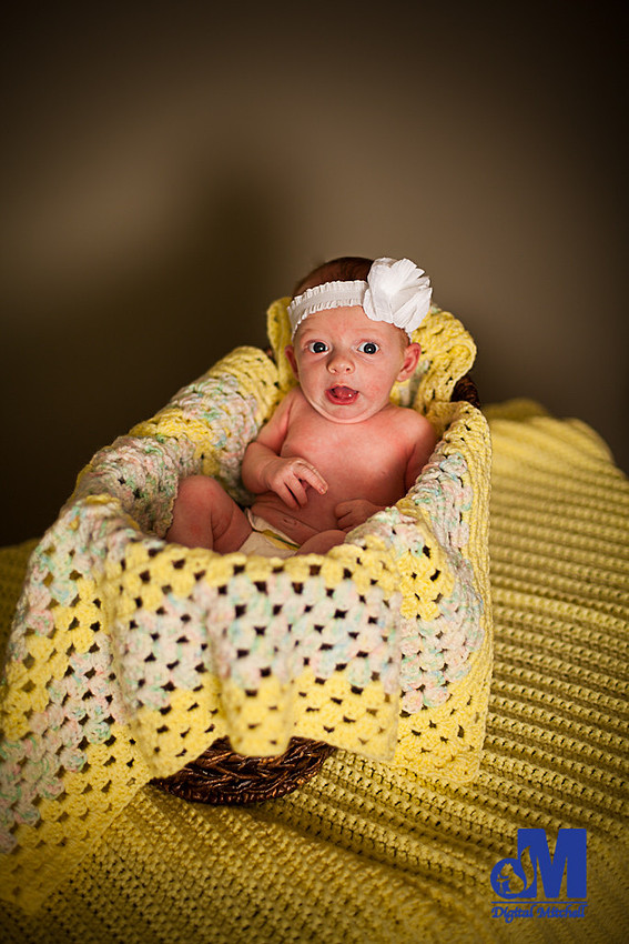 Newborn infant in yellow basket with blanket