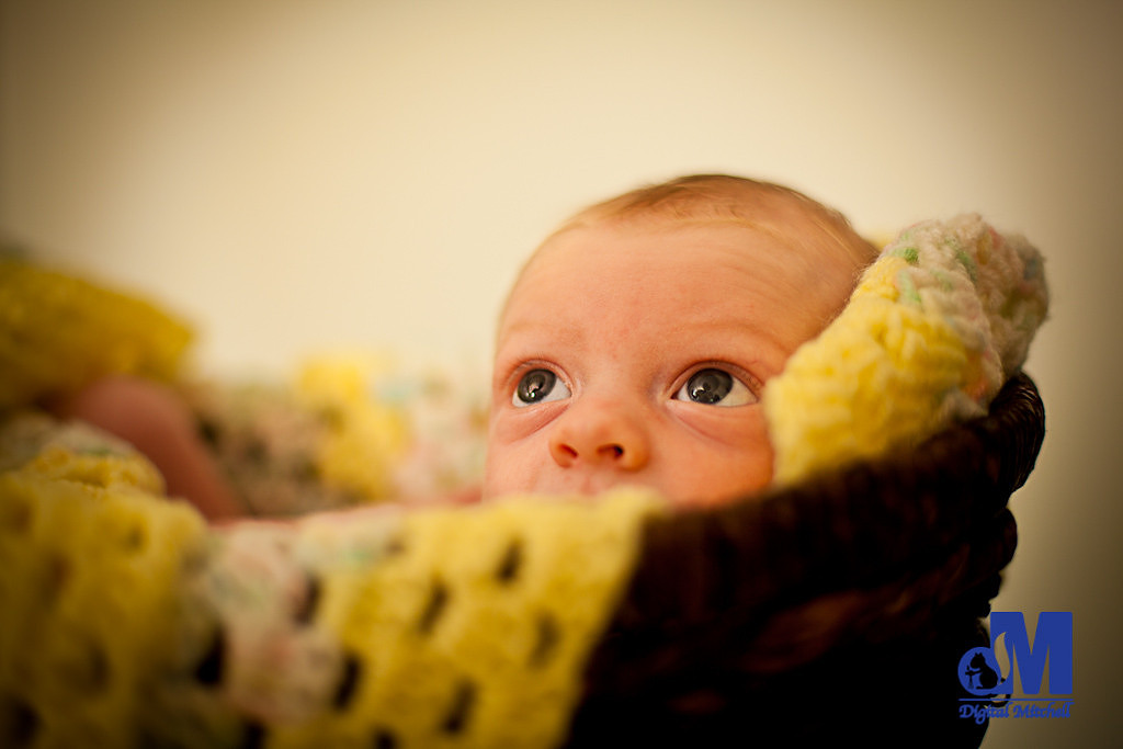 baby eyes
