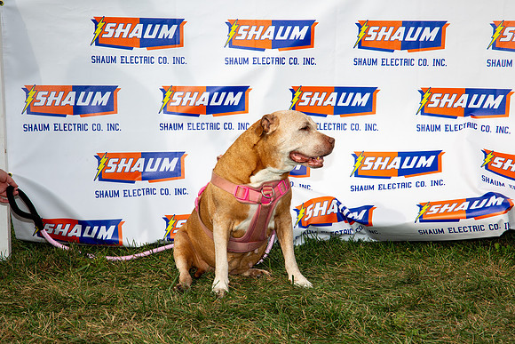 314-80th Anniversary of Shaum Electric