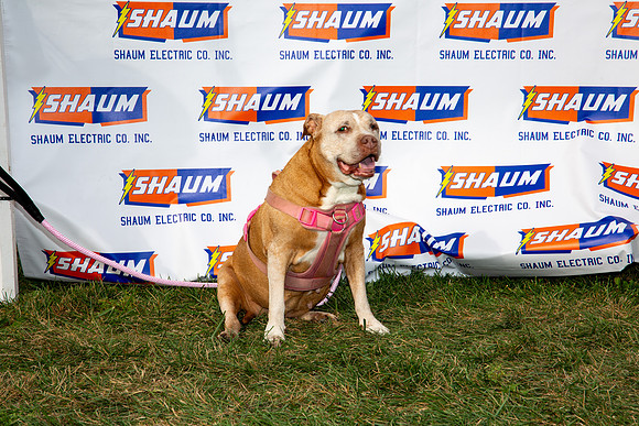 315-80th Anniversary of Shaum Electric