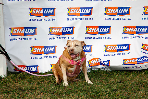 316-80th Anniversary of Shaum Electric