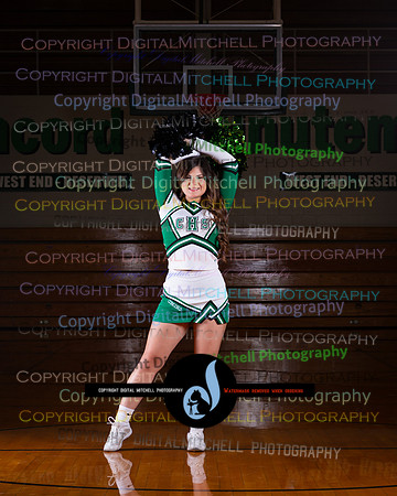 63-2025 Winter Cheer