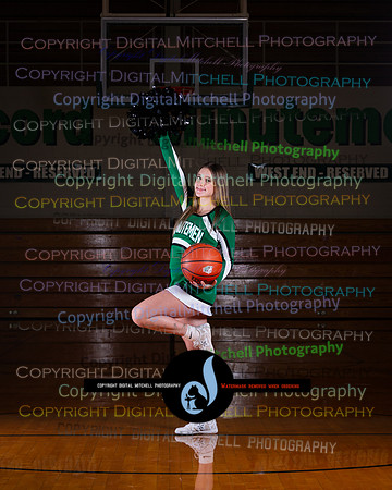 66-2025 Winter Cheer