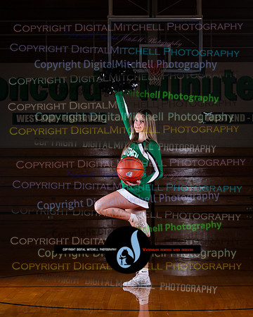 67-2025 Winter Cheer