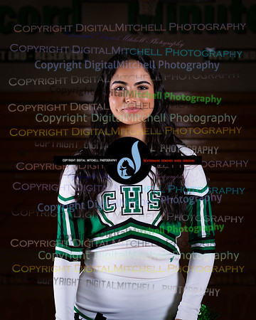 81-2025 Winter Cheer
