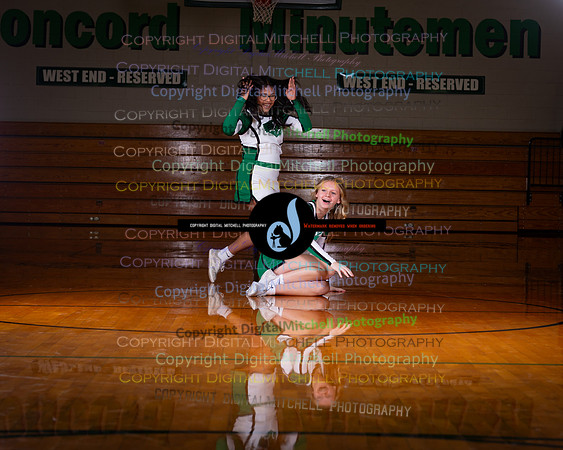 173-2025 Winter Cheer