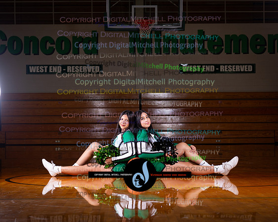 179-2025 Winter Cheer