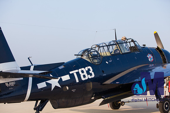 WarBirds2013-1429