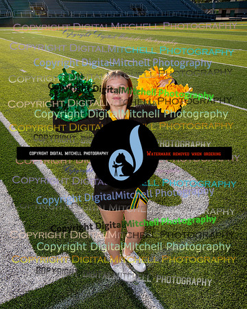 533-NHS 2024 Fall