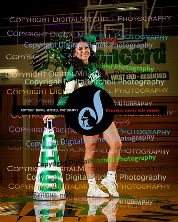 161-CHS BBB n Cheer