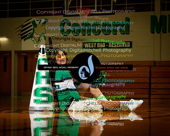 172-CHS BBB n Cheer