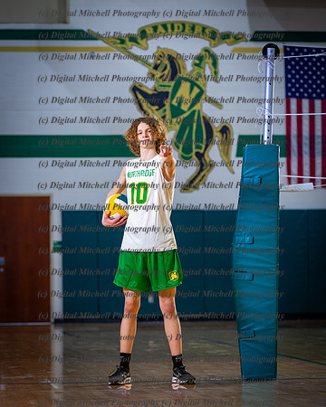17-NHS Volleyball Boys 2024