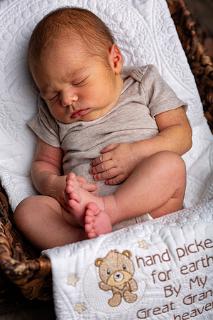 105-Baby Wesley