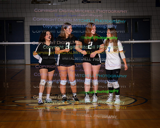 154-2024 VB