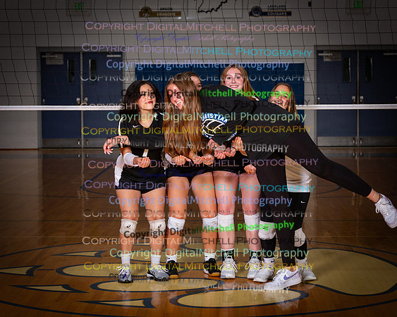 161-2024 VB
