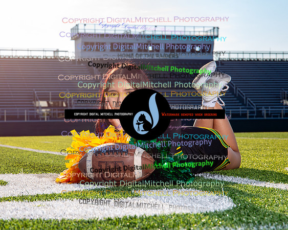 291-NHS 2024 Fall