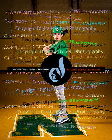 118-NHS 2023 Baseball