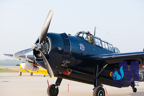 WarBirds2013-1417