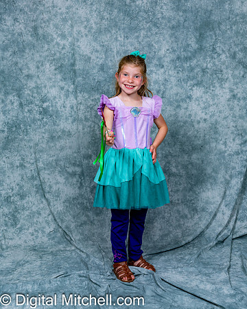 280-CHS Cheer 2026 Princess Evening
