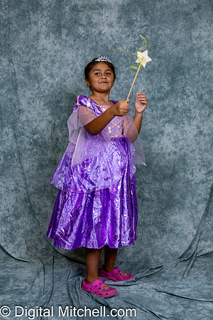 258-CHS Cheer 2026 Princess Evening
