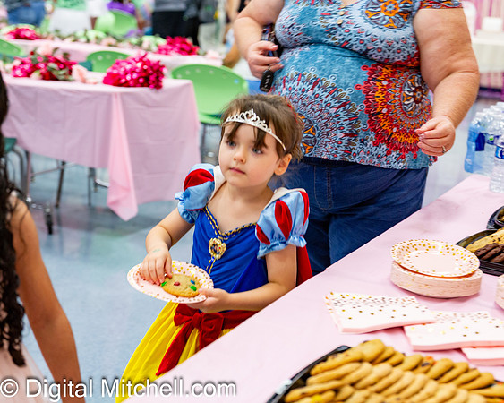 66-CHS Cheer 2026 Princess Evening