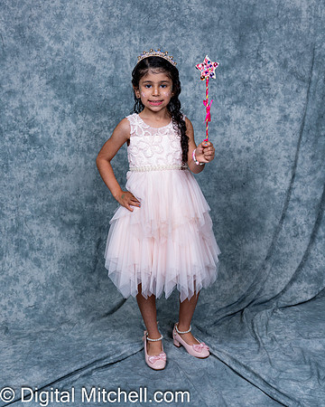 375-CHS Cheer 2026 Princess Evening